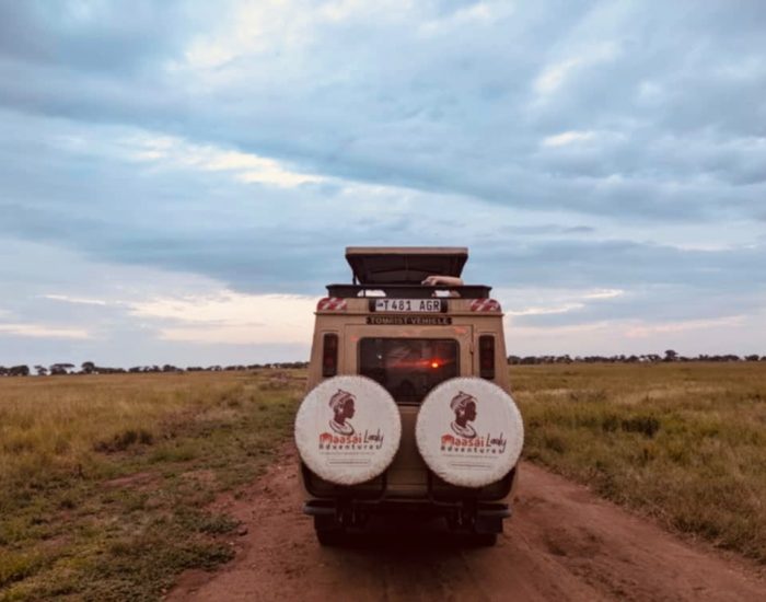 Plain of Serengeti